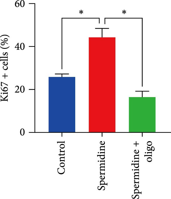 Figure 21