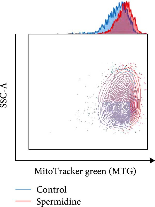 Figure 22