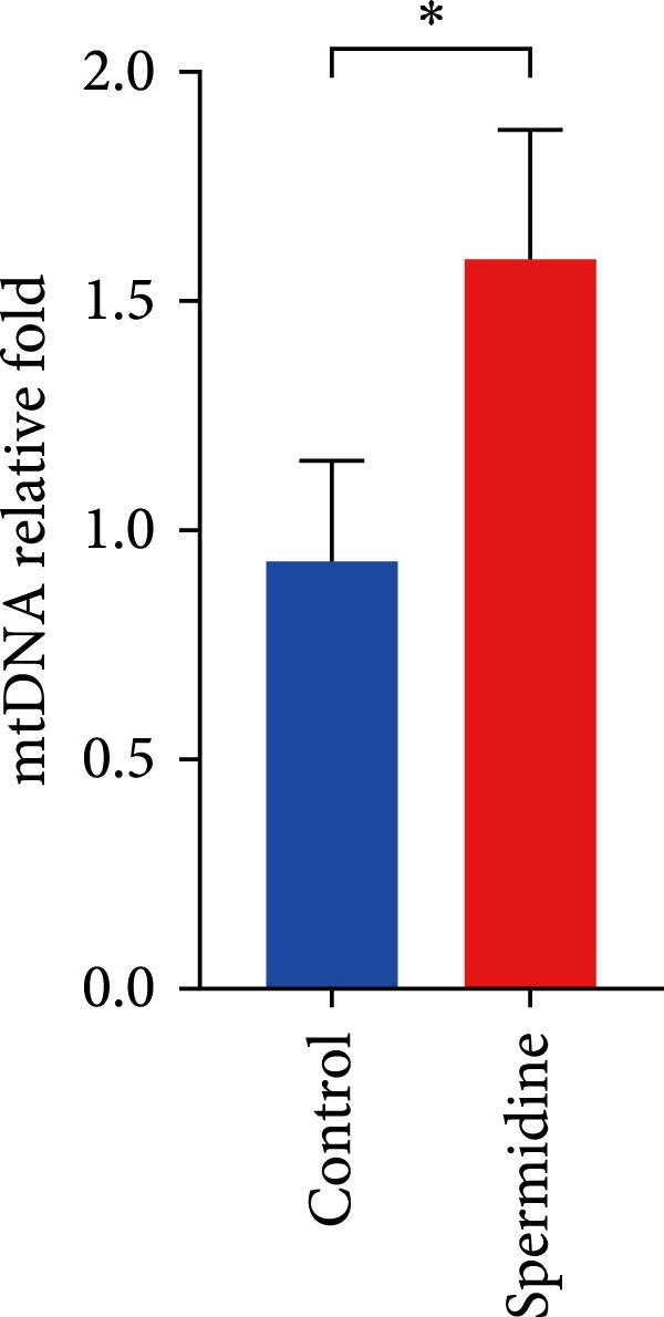Figure 25