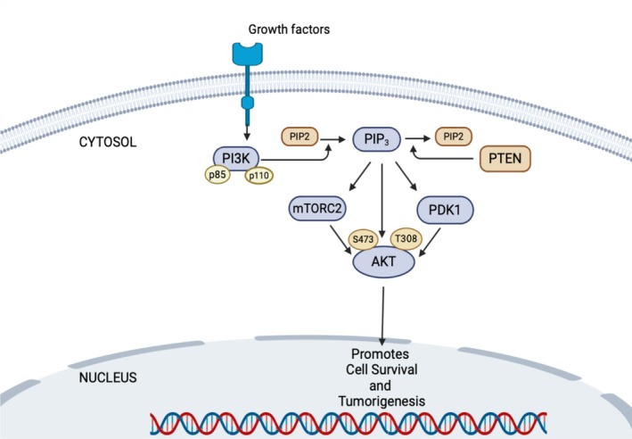 FIGURE 1