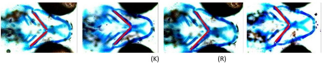 Figure 15