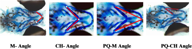 Figure 17