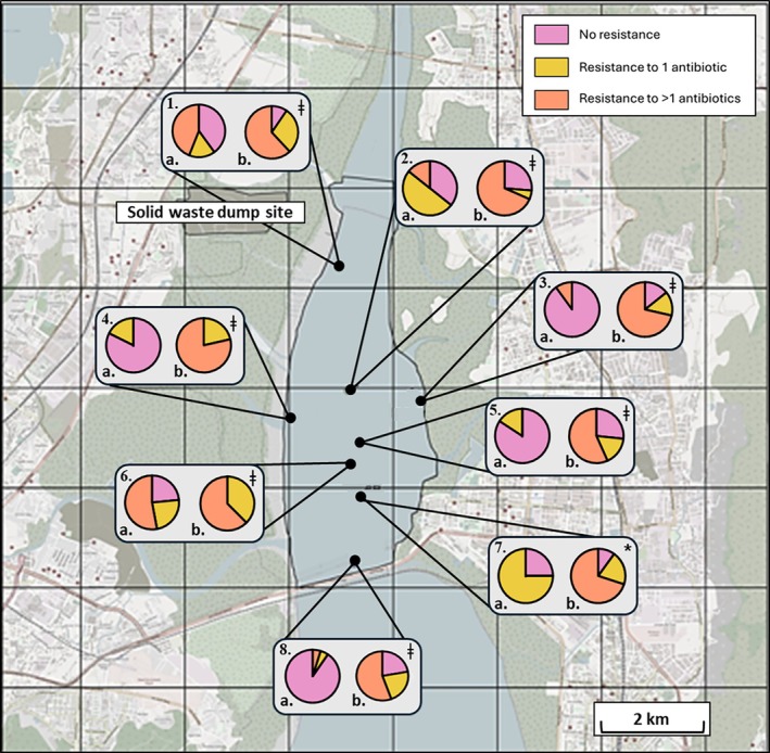 FIGURE 3