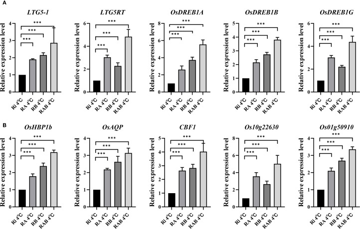 Figure 5