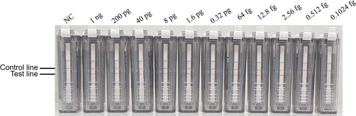 FIGURE 6
