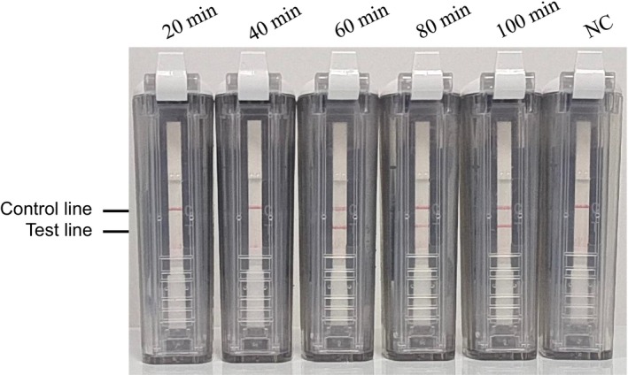 FIGURE 4