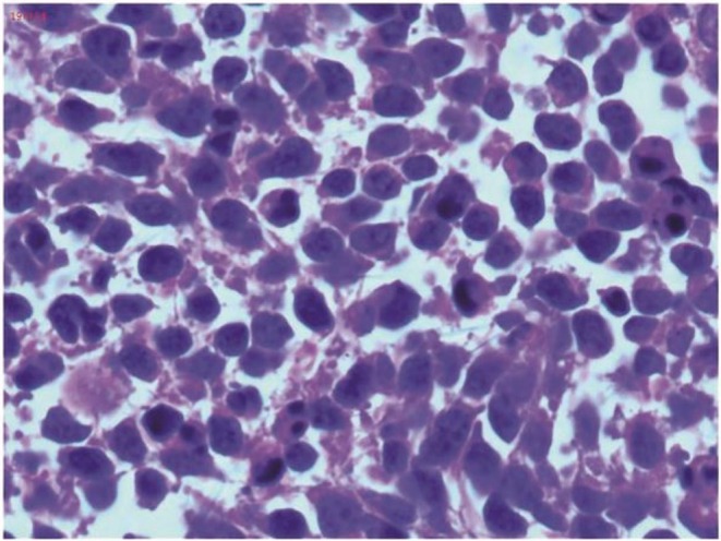 FIGURE 2