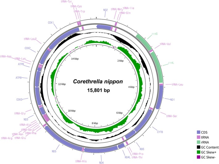 FIGURE 6