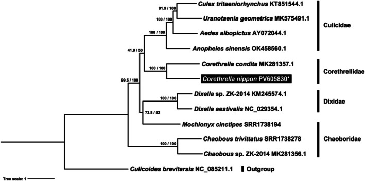 FIGURE 7