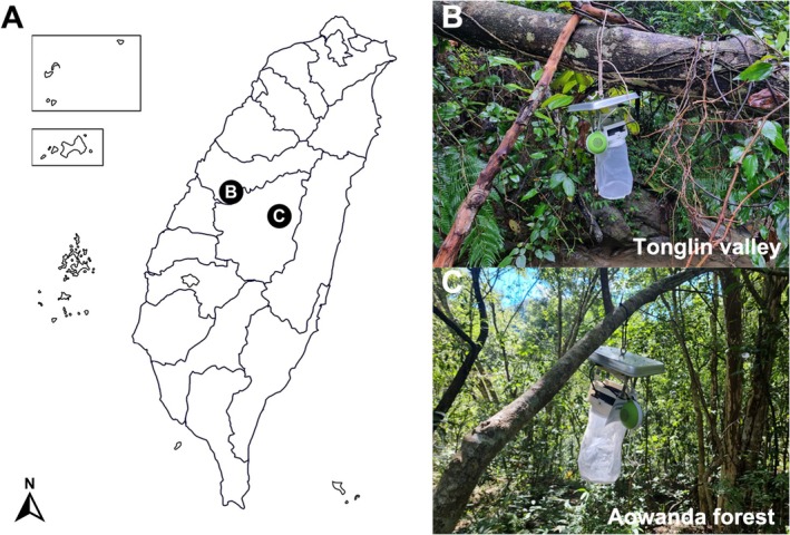 FIGURE 3