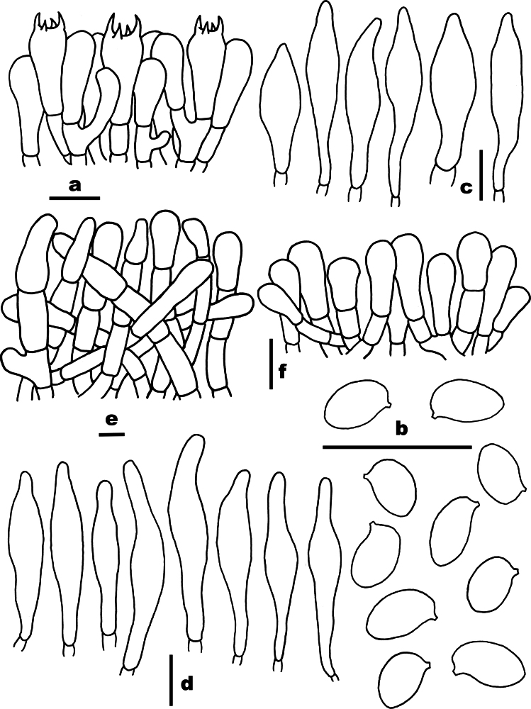 Figure 7