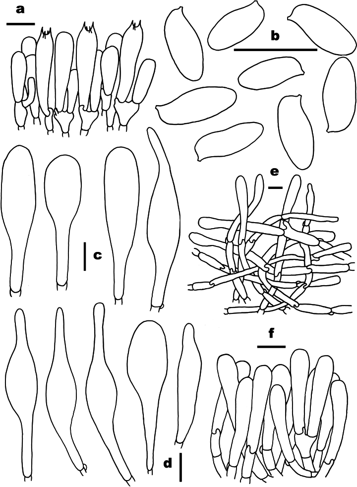 Figure 8