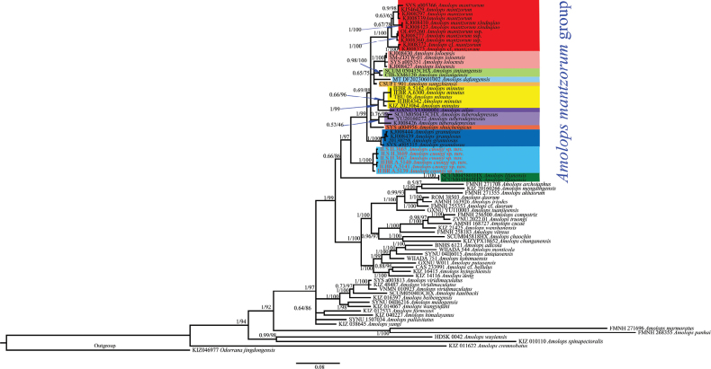 Figure 2