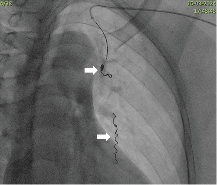 Figure 8
