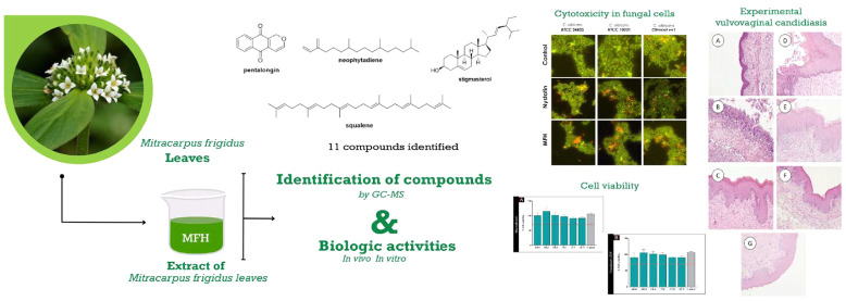 Figure 12