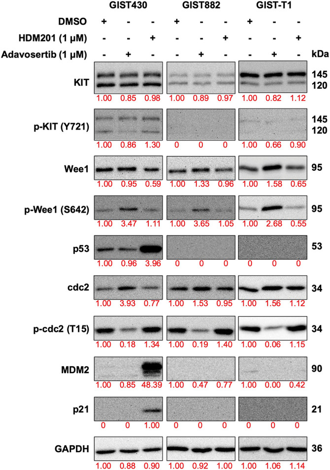 Figure 5