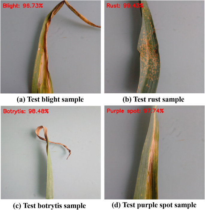 Figure 13