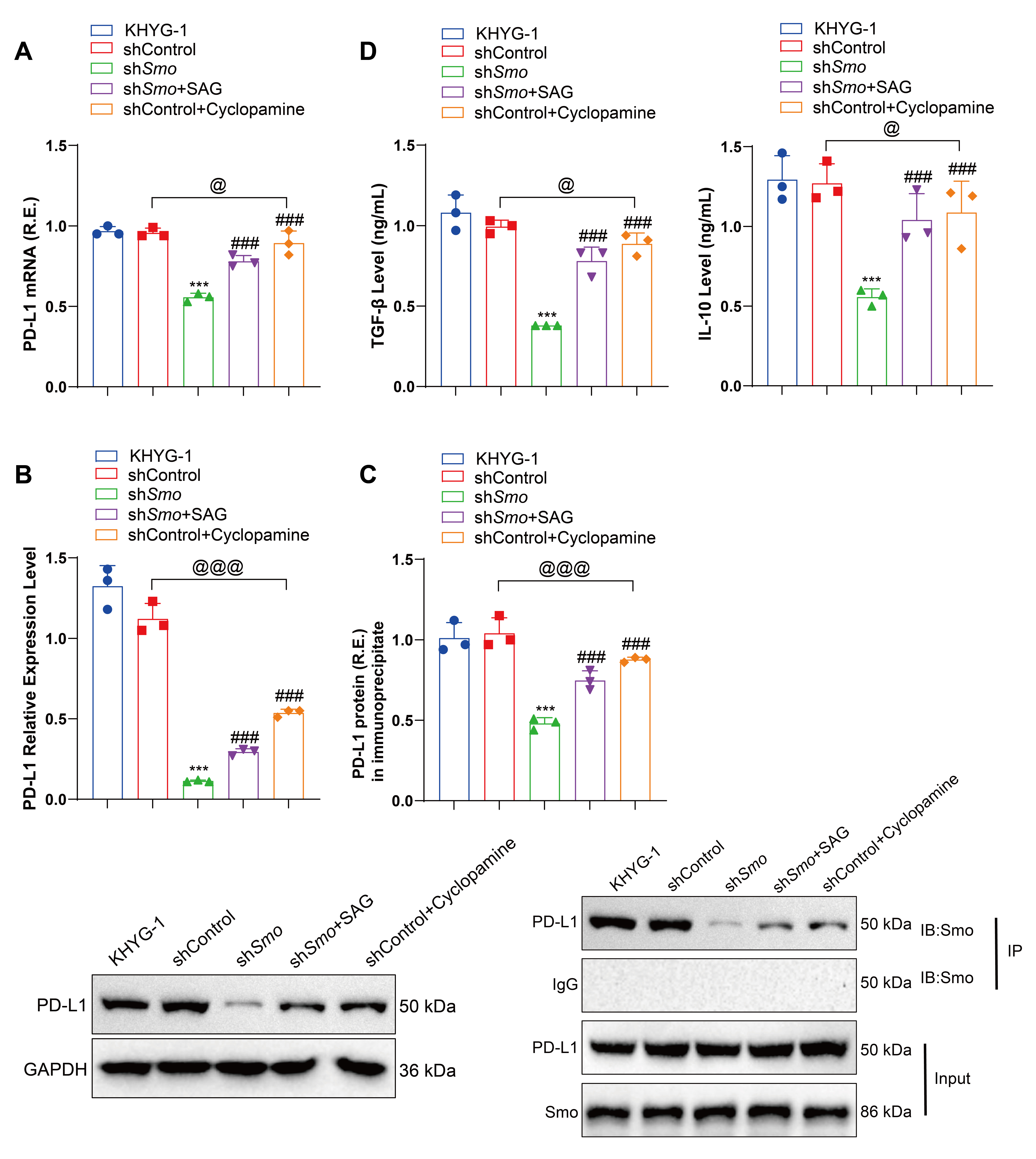 Figure 16