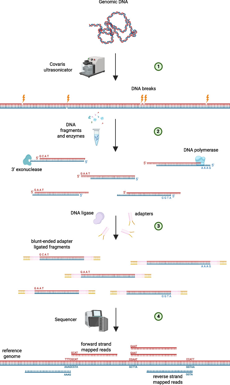 Figure 1