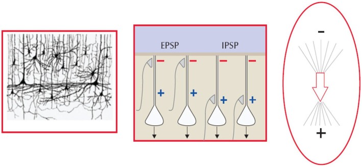 Figure 31