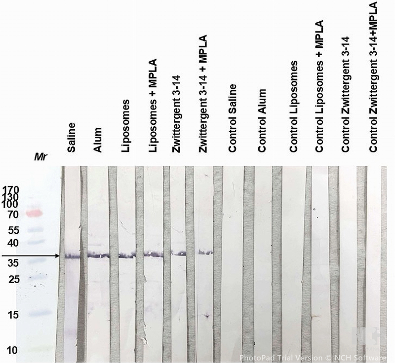 Figure 15