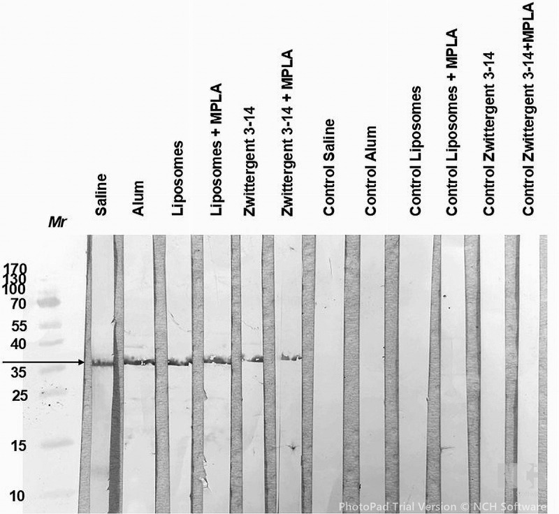 Figure 16