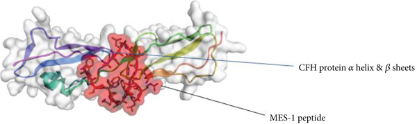Figure 13