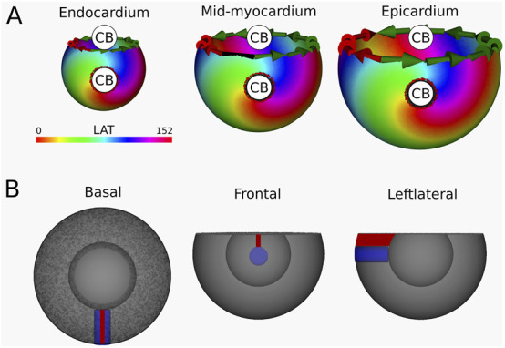 Figure 6