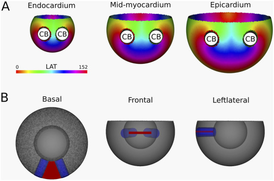 Figure 7