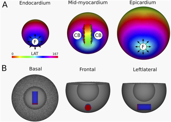 Figure 11