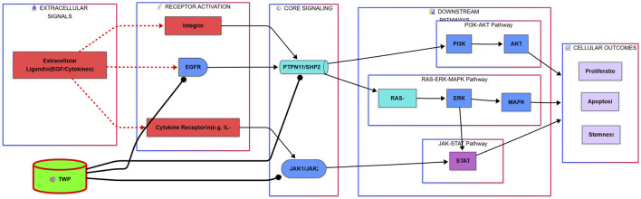 Figure 14