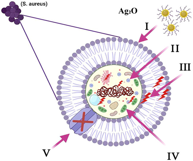 Figure 16