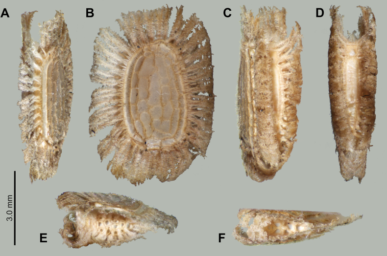 Figure 5