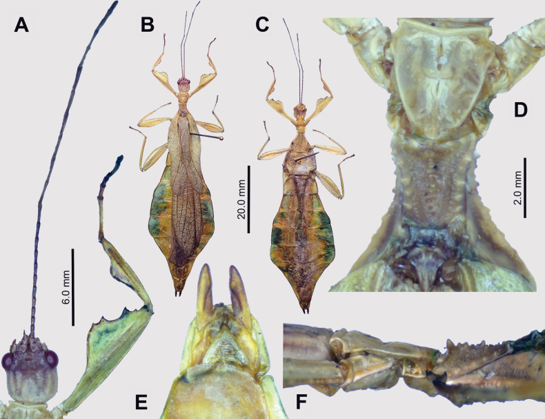 Figure 7
