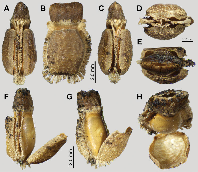 Figure 12