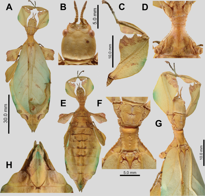 Figure 13