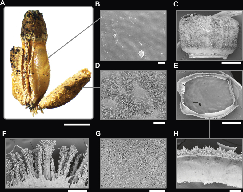 Figure 14