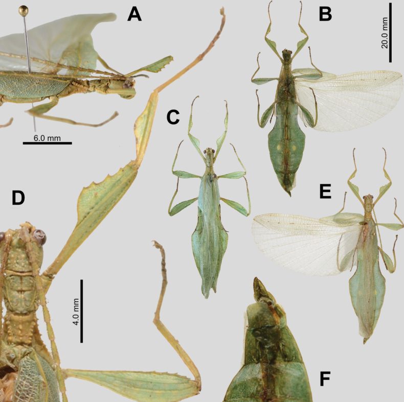 Figure 15