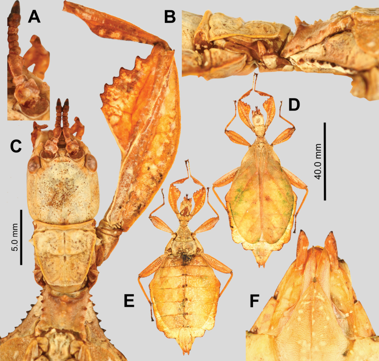 Figure 16