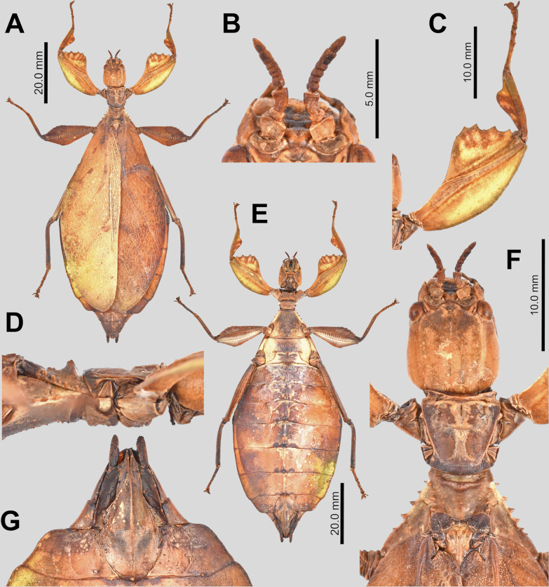 Figure 17