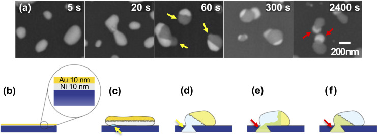 Fig. 8