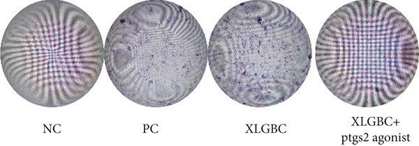Figure 9