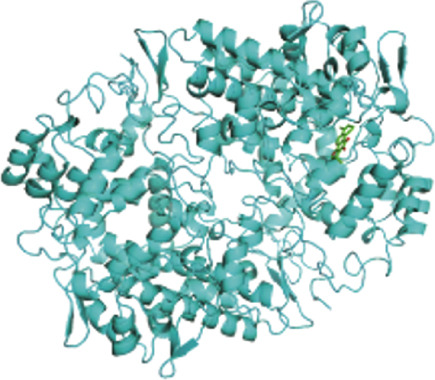 Figure 13