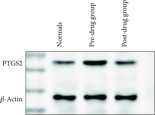 Figure 21