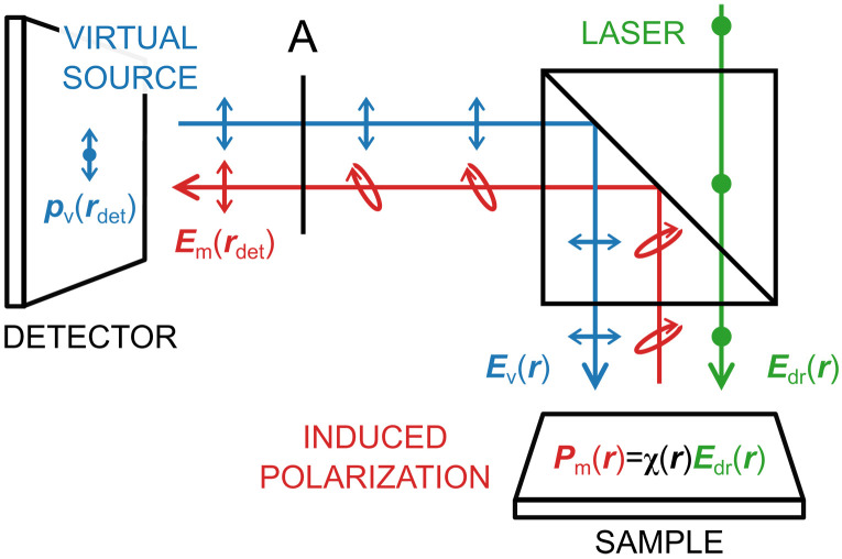 Fig. 7