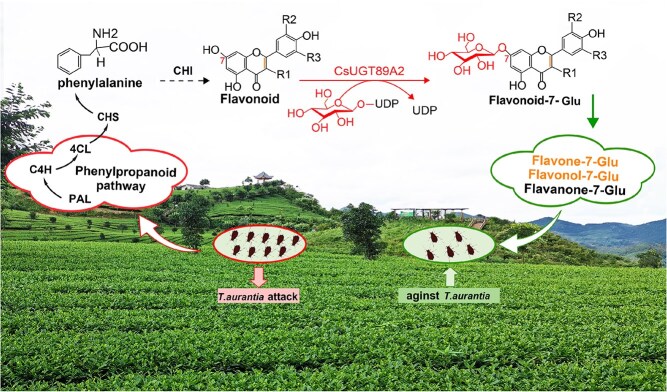 Figure 10