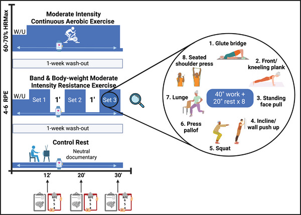 FIGURE 3