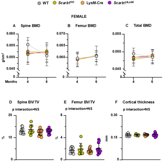 Fig 4