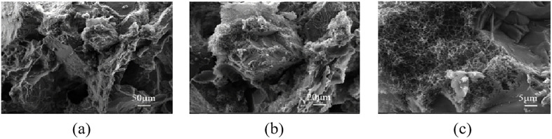 Fig 17