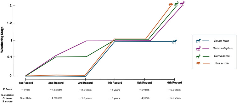 Fig 3